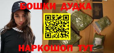 мдпв Обь