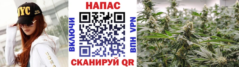 купить наркоту  Ржев  МАРИХУАНА Ganja 